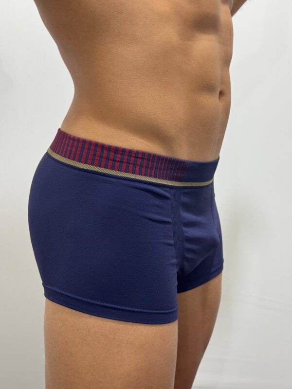 CUECA SUNGA MICROFIBRA 676003 - LUPO - Imagem 3