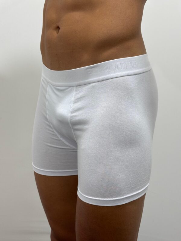 CUECA BOXER ALGODÃO E ELASTANO 784017- LUPO - Imagem 3