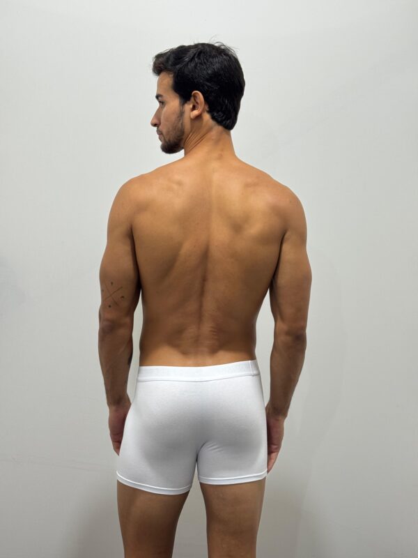 CUECA BOXER ALGODÃO E ELASTANO 784017- LUPO - Imagem 4